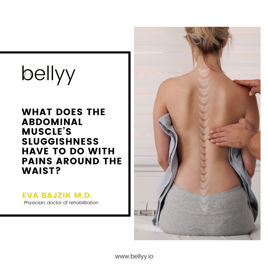 Bellyy – What does the abdominal muscle’s sluggishness have to do with pains around the waist